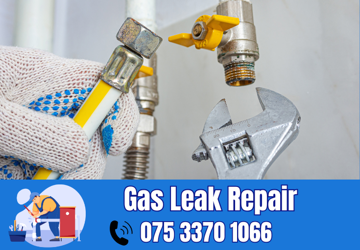 gas leak repair Minster On Sea