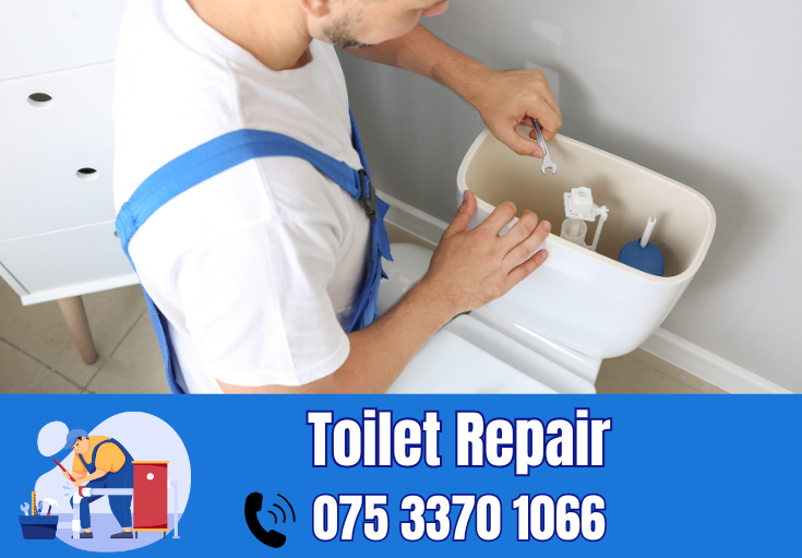 toilet repair Minster On Sea